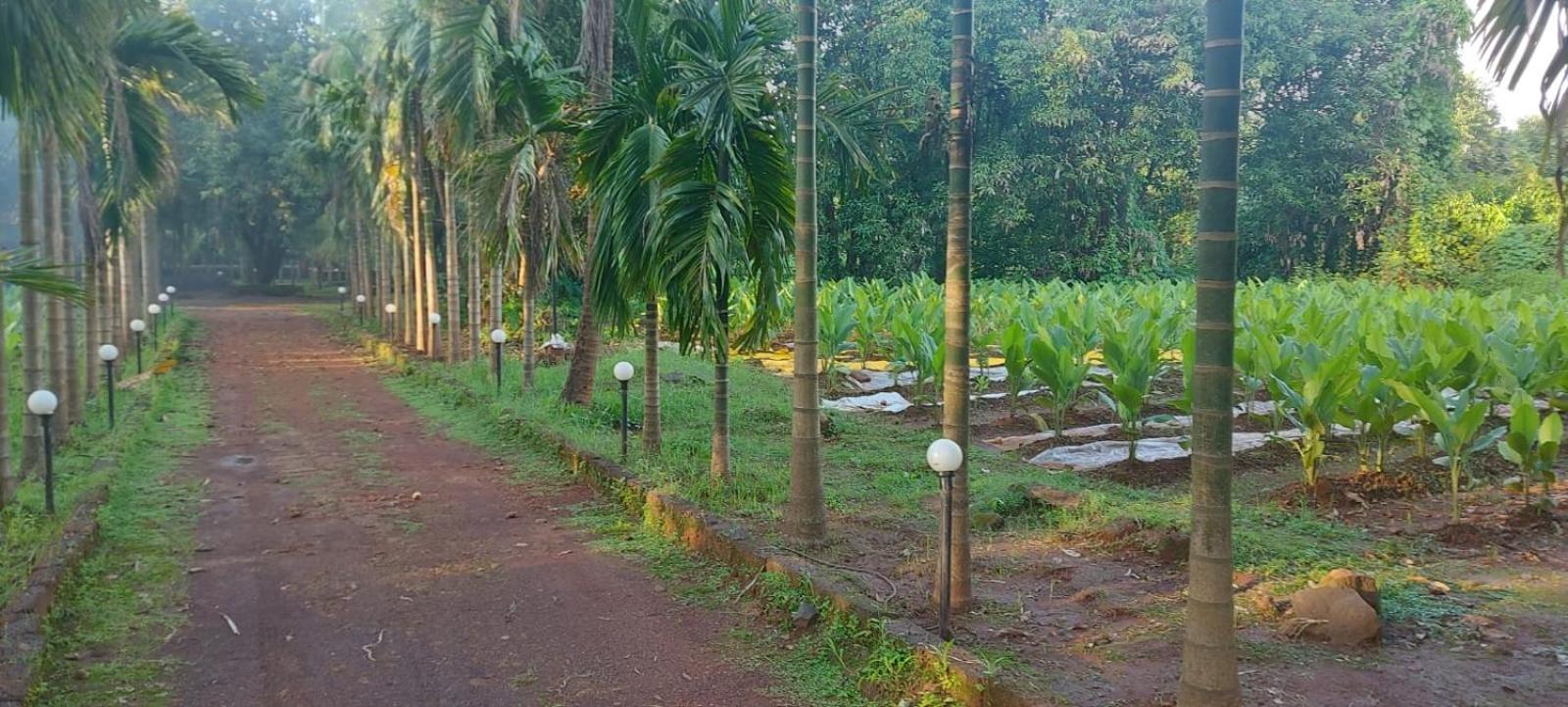 Red Roof Farmhouse Villa Chiplun Exterior photo