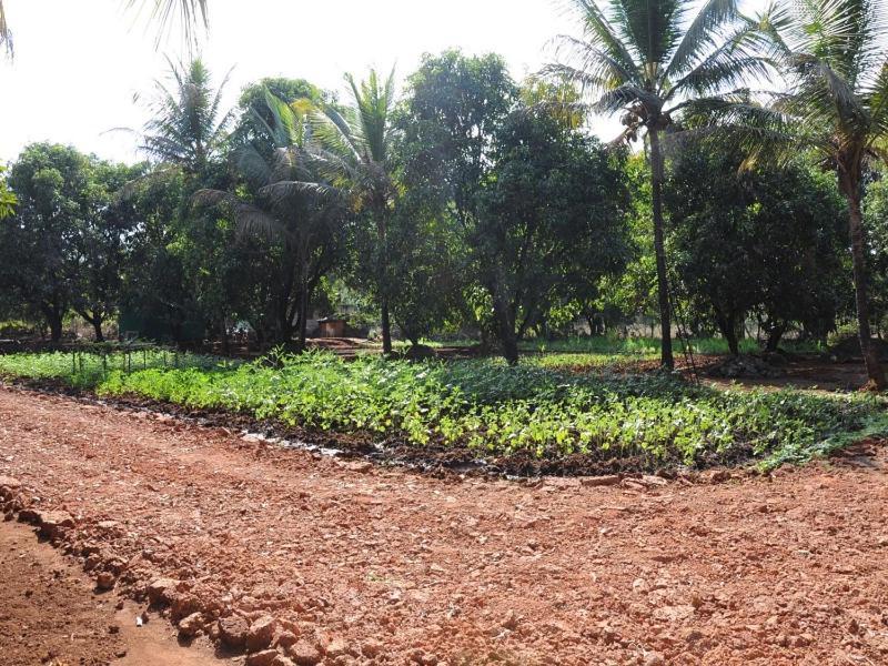 Red Roof Farmhouse Villa Chiplun Exterior photo